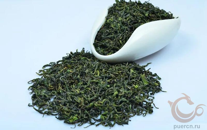 Зеленый чай Жичжао Люйча (日照绿茶)
