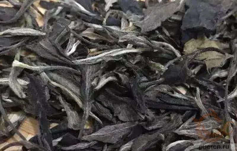 4. Старый белый чай однородно черного цвета