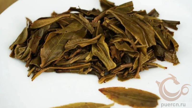 Чайное дно - нежный и молодой чайный лист