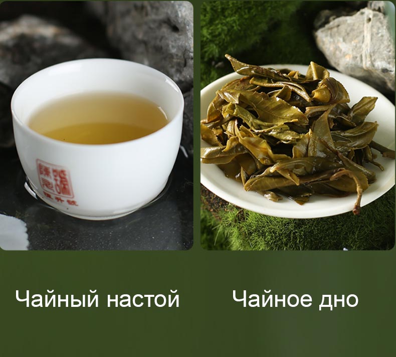 Чэньшэн Хао Сяо Чунь, шэн пуэр, чайный настой, чайное дно