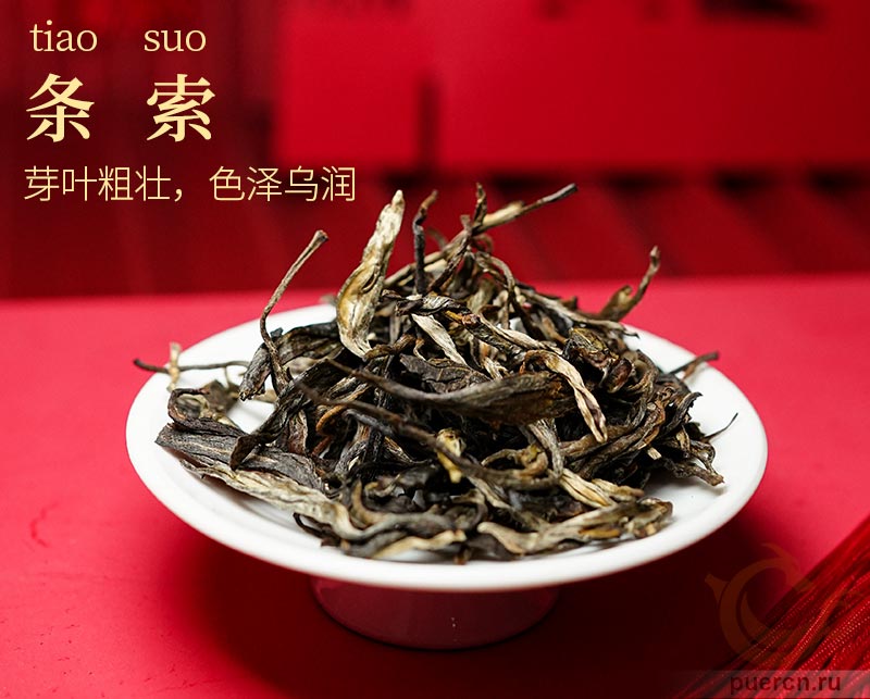 Чэньшэн Хао Юйту Инчунь Шэнсяо Ча, шэн пуэр, 357 гр, 2023 г., сухой чай