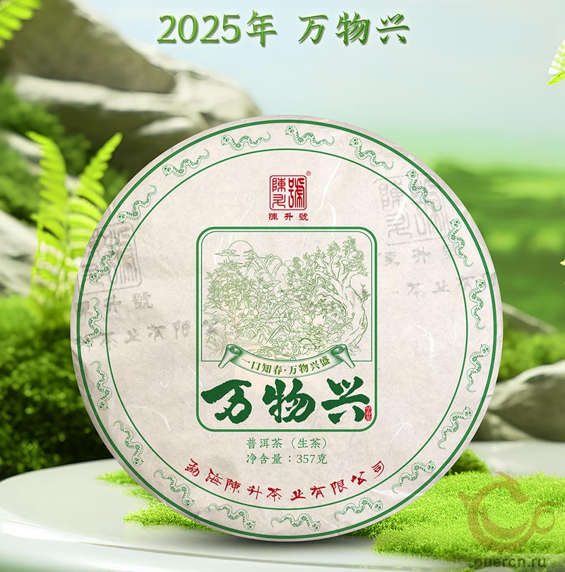 Чэньшэн Хао Вань У Син, шэн пуэр, 357 гр, 2025 г.