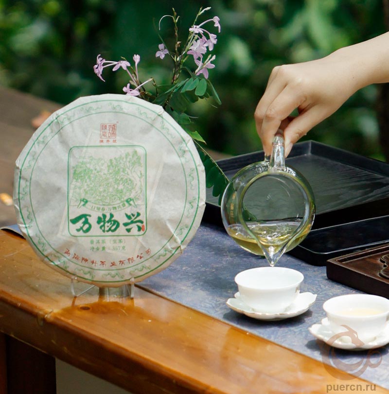 Чэньшэн Хао Вань У Син, шэн пуэр, 357 гр, 2025 г.