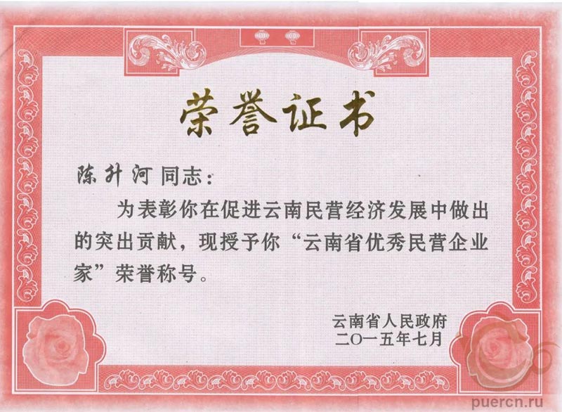 Почетная грамота о присвоении звания «Выдающийся частный предприниматель провинции Юньнань»