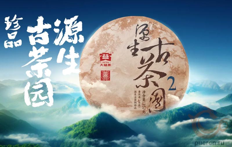 Да И Юань Шэн Гу Чаюань Чжэньпинь, шэн пуэр, 357 гр, 2025 г.