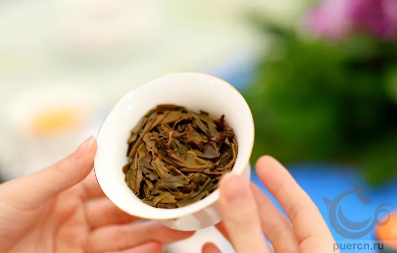 Да И Юань Шэн Гу Чаюань Чжэньпинь, шэн пуэр, 357 гр, 2025 г.