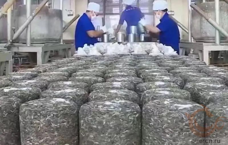 Мэнку Цзи Шао Шу – Тоу Цай, шэн пуэр, 600 гр, 2025 г. Мэнку Цзи Шао Шу – Тоу Цай, шэн пуэр, 600 гр, 2025 г.