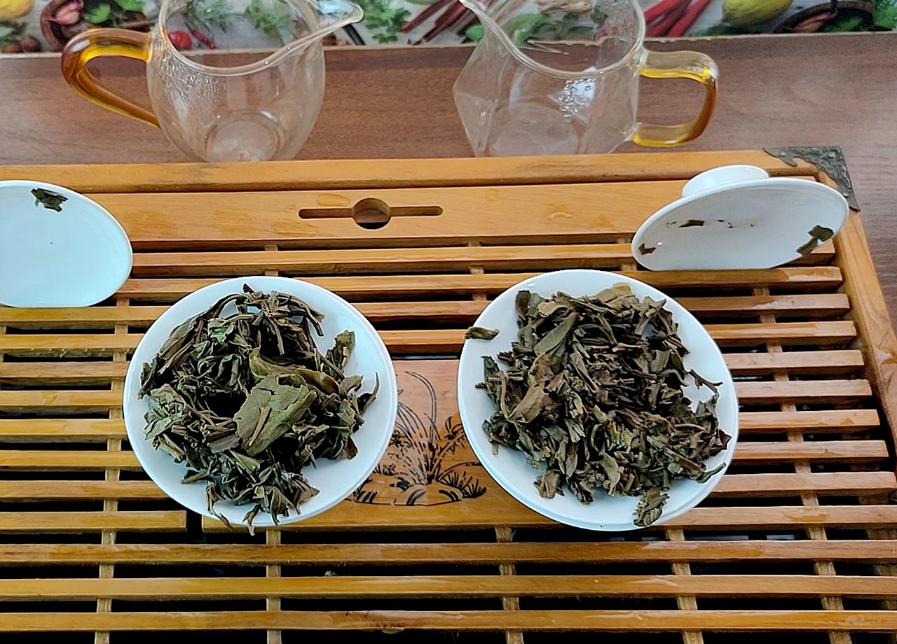 Мэнку Мадао Чэнгун, шэн пуэр, 2026 г